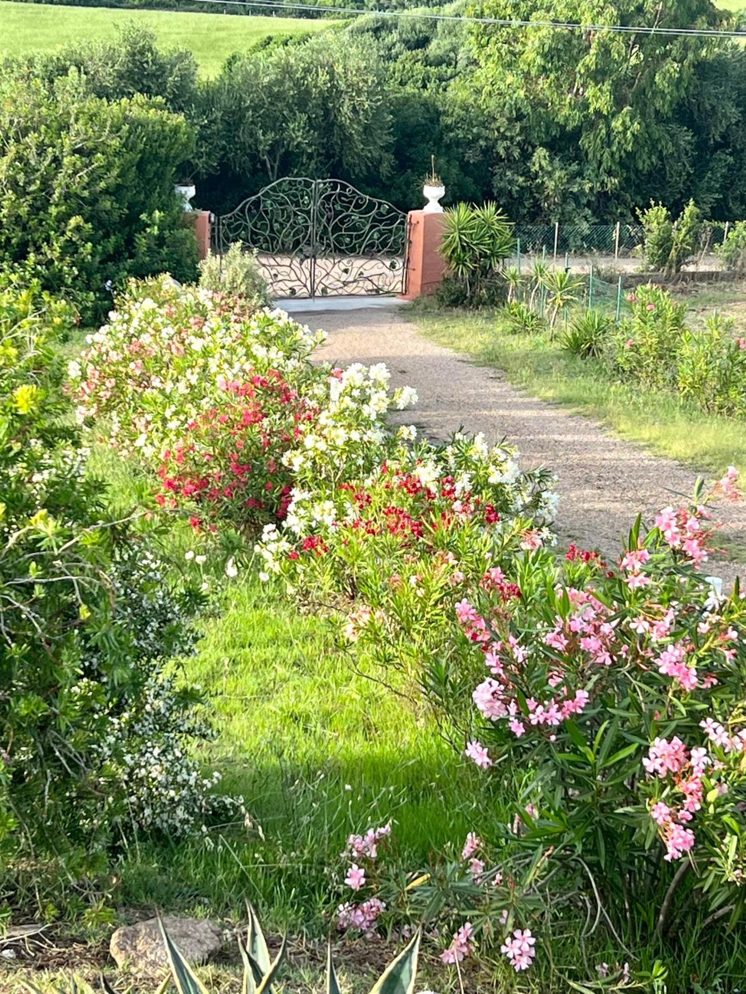 Stazzo La Foci Soluzioni Vista Mare Villa Aglientu Bagian luar foto