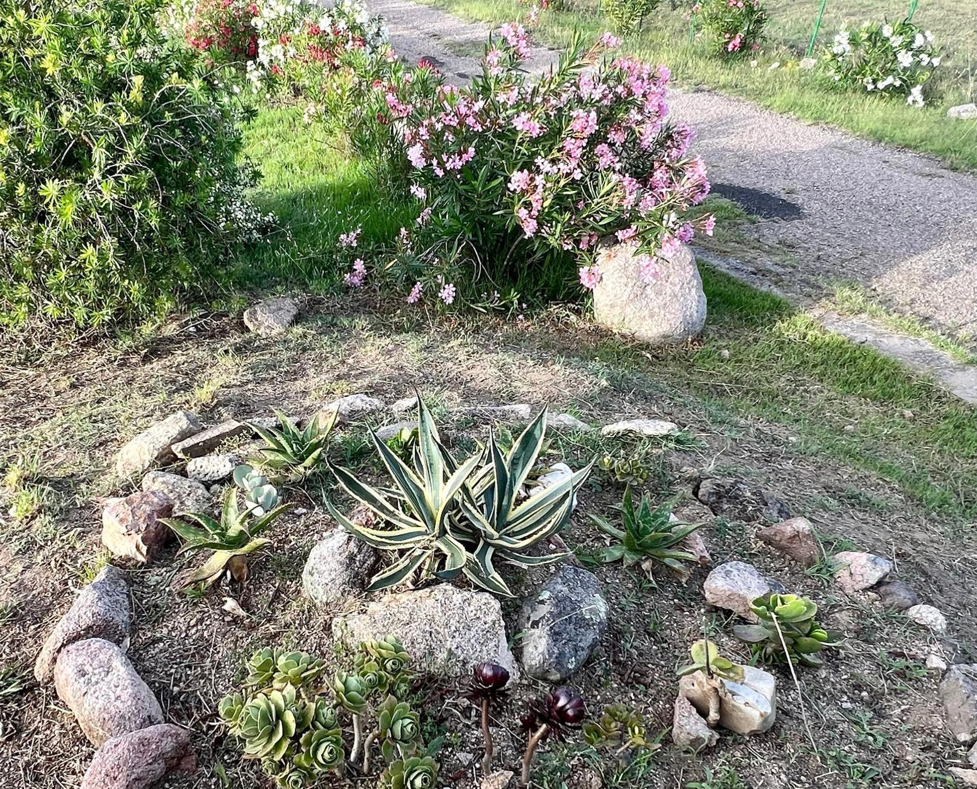 Stazzo La Foci Soluzioni Vista Mare Villa Aglientu Bagian luar foto