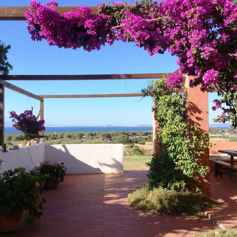 Stazzo La Foci Soluzioni Vista Mare Villa Aglientu Bagian luar foto